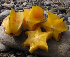   Fruits:   Averrhoa carambola ; Photo by Landahlauts, flickr.com
